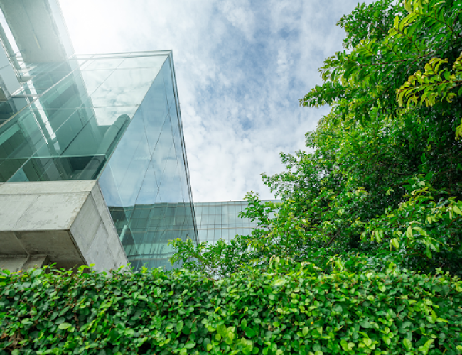 Paisagismo em empreendimentos de alto padrão: o verde que vende